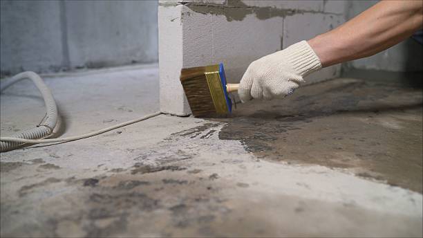 SJ Waterproofing Pros Waterproofing coverage map for Willow Springs, IL and surrounding area